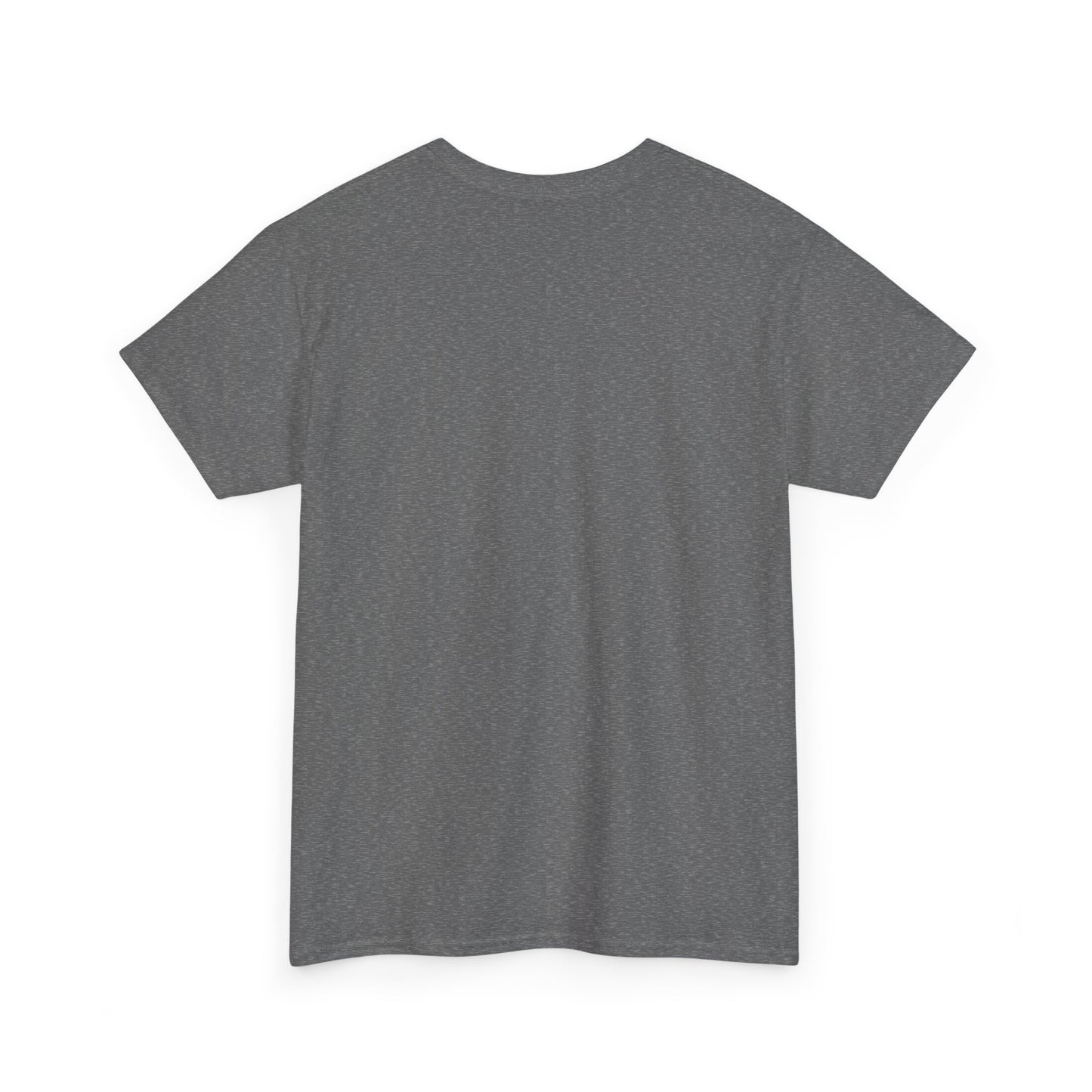 Biblical Dad Joke: Lazarus called from the tomb- T-shirt