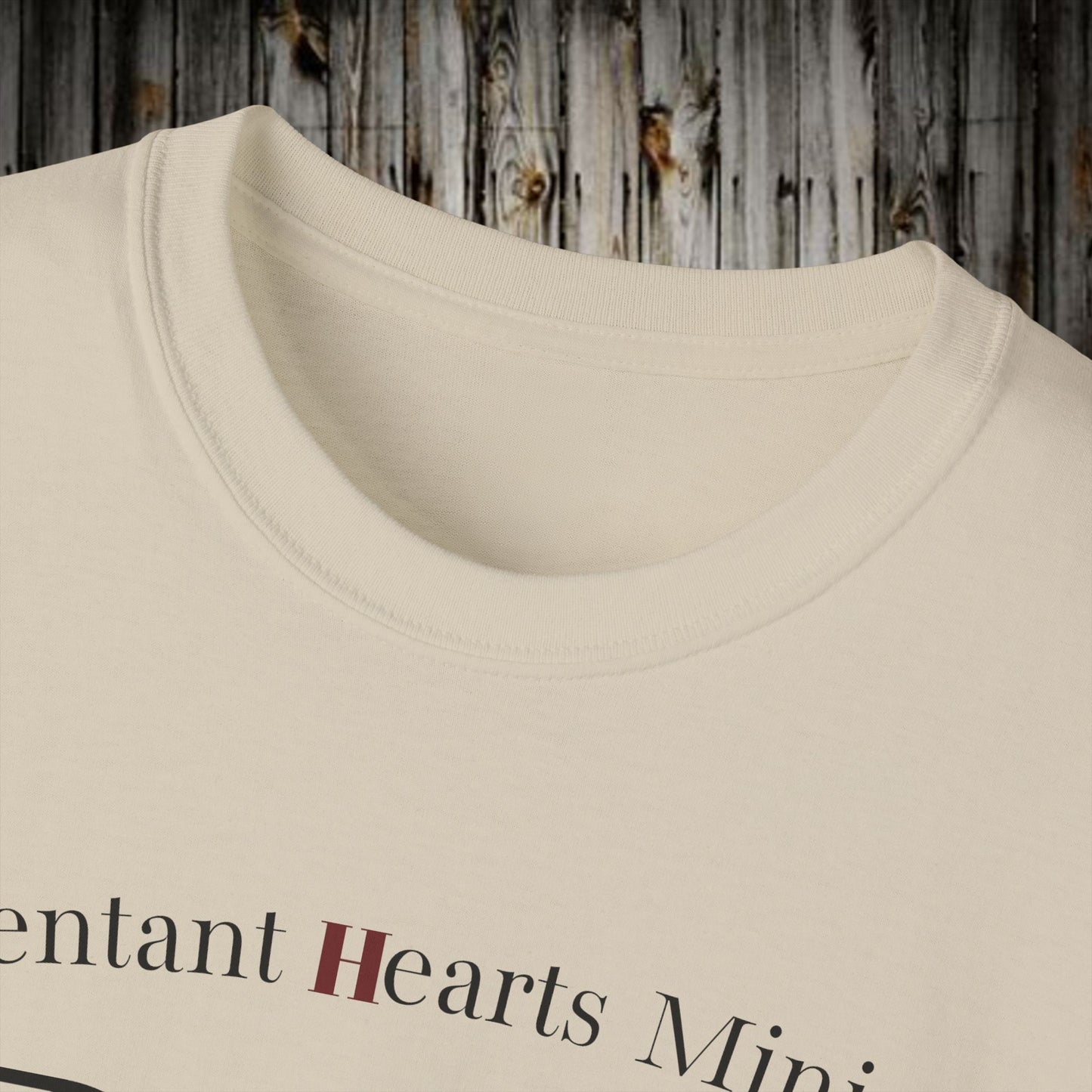 Biblical- Repentant Hearts Ministry (RHM) T-Shirt — Christian Faith Ministry Tee