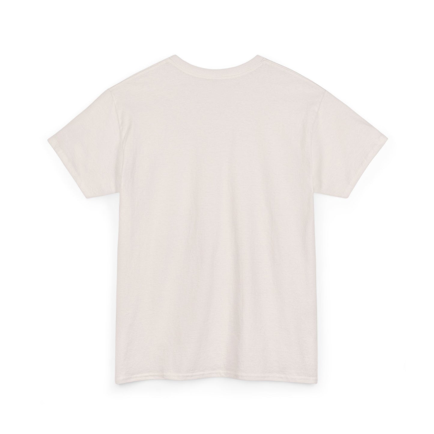 Biblical Dad Joke: Lazarus called from the tomb- T-shirt