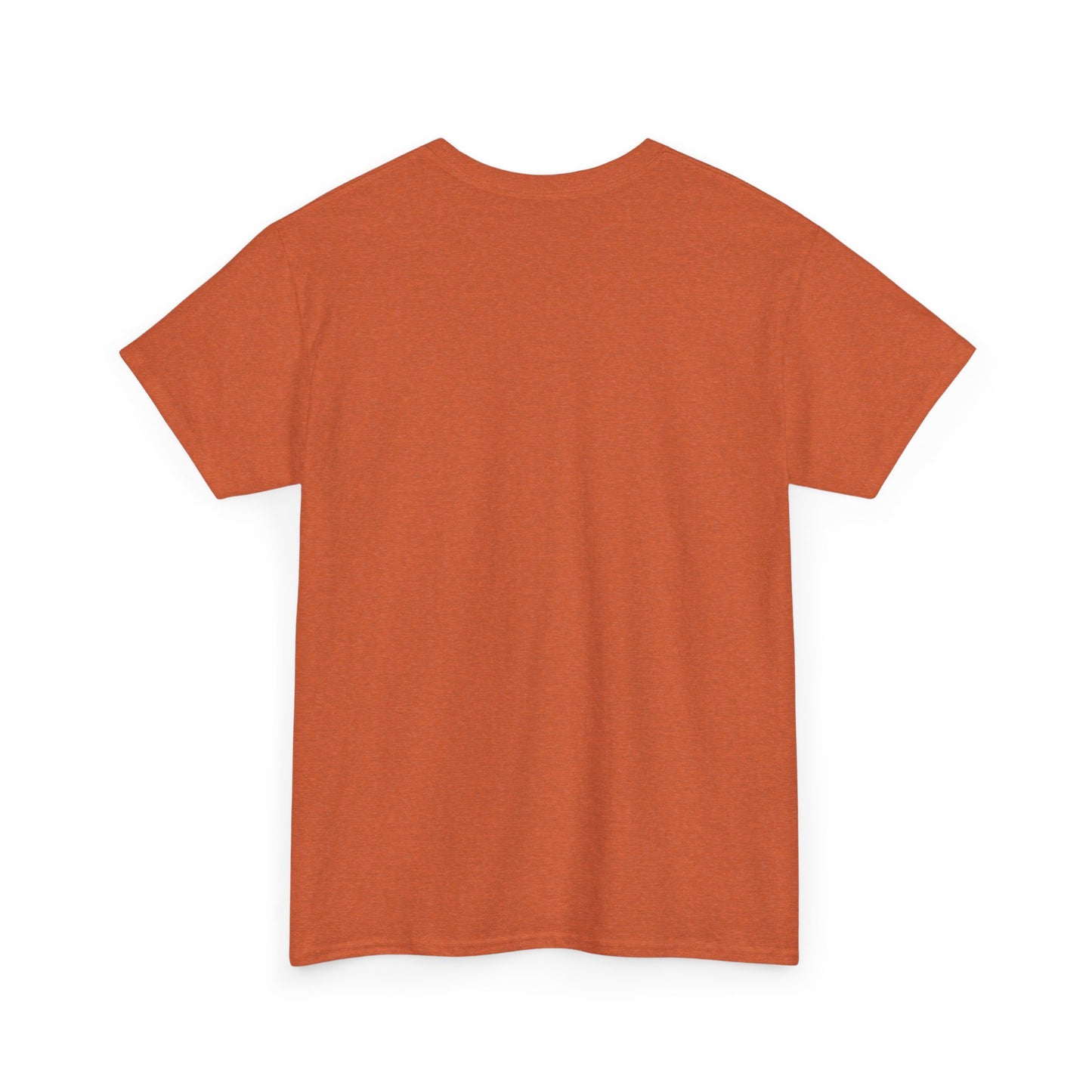Biblical Dad Joke: Lazarus called from the tomb- T-shirt