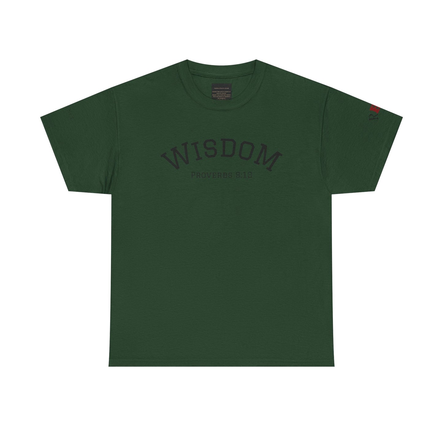 "Wisdom" Proverbs 9:10 T-shirt — "The fear of the Lord is the beginning of wisdom" Christian Scripture