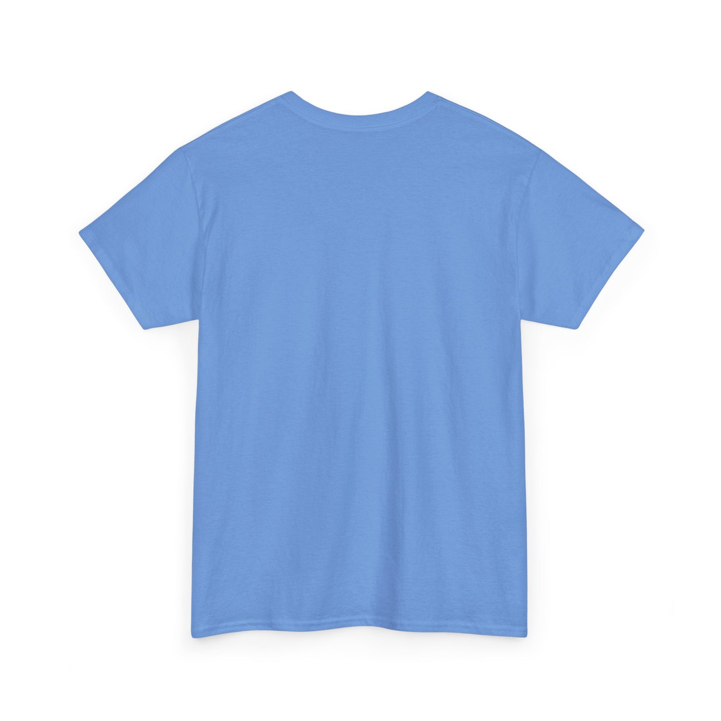 Biblical Dad Joke: Lazarus called from the tomb- T-shirt