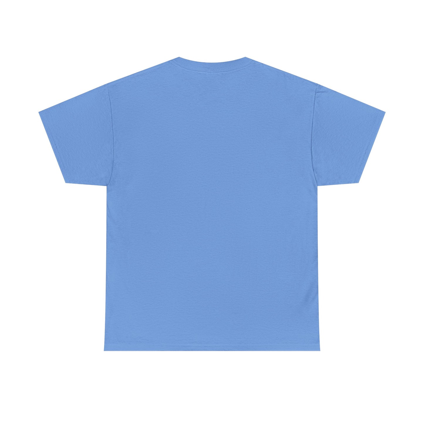 Biblical Dad Joke: Lazarus called from the tomb- T-shirt